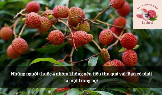 Những người thuộc 4 nhóm không nên tiêu thụ quả vải: Bạn có phải là một trong họ?