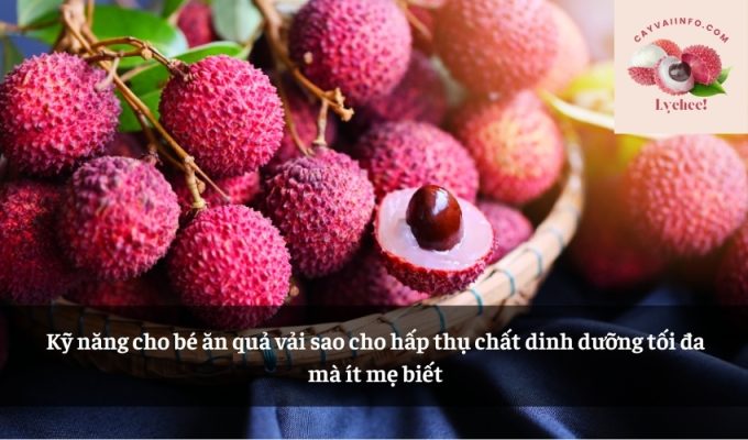 Kỹ năng cho bé ăn quả vải sao cho hấp thụ chất dinh dưỡng tối đa mà ít mẹ biết