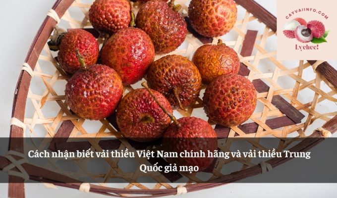 Cách nhận biết vải thiều Việt Nam chính hãng và vải thiều Trung Quốc giả mạo