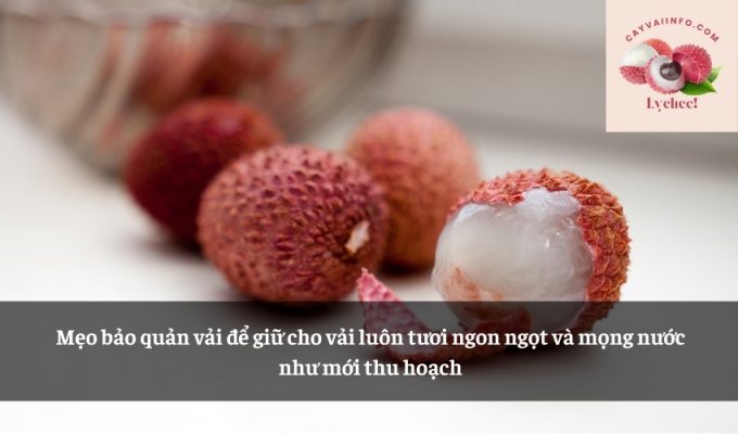 Mẹo bảo quản vải để giữ cho vải luôn tươi ngon ngọt và mọng nước như mới thu hoạch