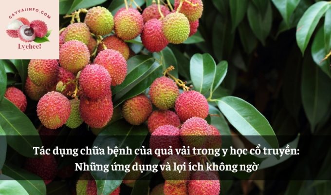 Tác dụng chữa bệnh của quả vải trong y học cổ truyền: Những ứng dụng và lợi ích không ngờ