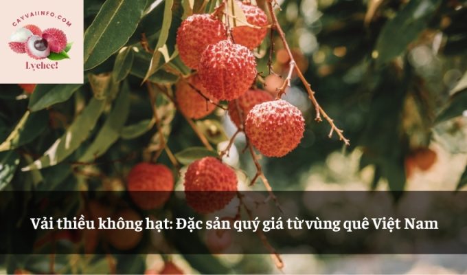 Vải thiều không hạt: Đặc sản quý giá từ vùng quê Việt Nam